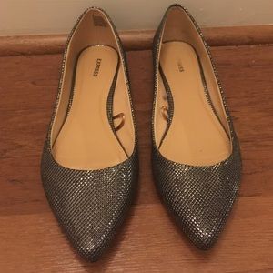 Express Pointed Toe Embellished Flat